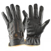 Riding Gloves (6)